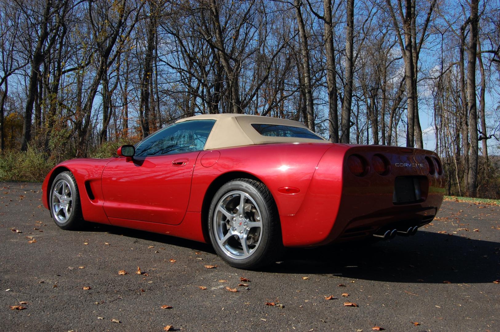 1998 Burgundy /Beige Leather Chevrolet Corvette (1G1YY32G9W5) with an 5.7 liter V8 engine, Automatic transmission, located at 6528 Lower York Road, New Hope, PA, 18938, (215) 862-9555, 40.358707, -74.977882 - Photo#4